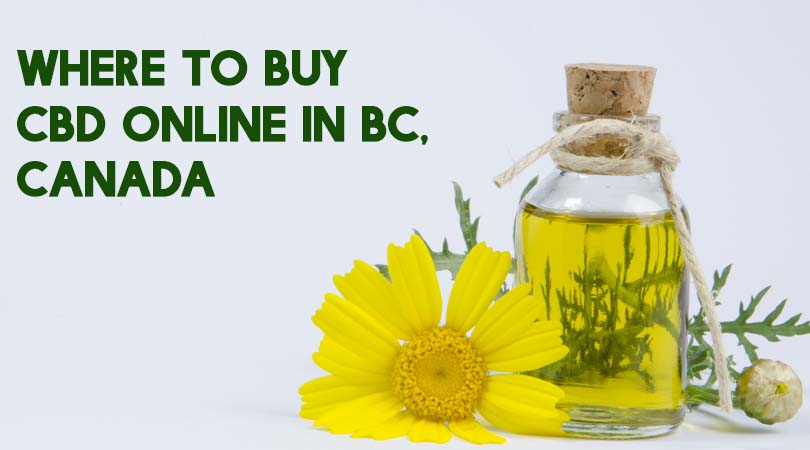 Where To Buy CBD Online In BC