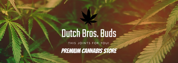 Dutch Brothers Buds
