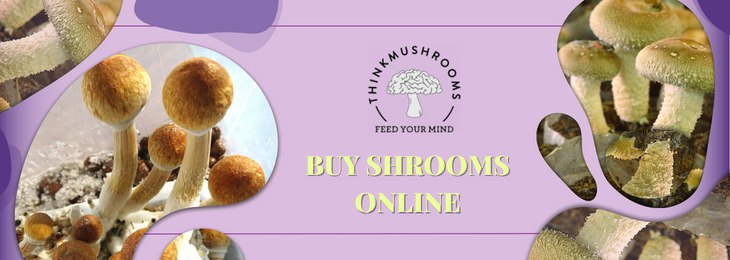 Think Mushrooms