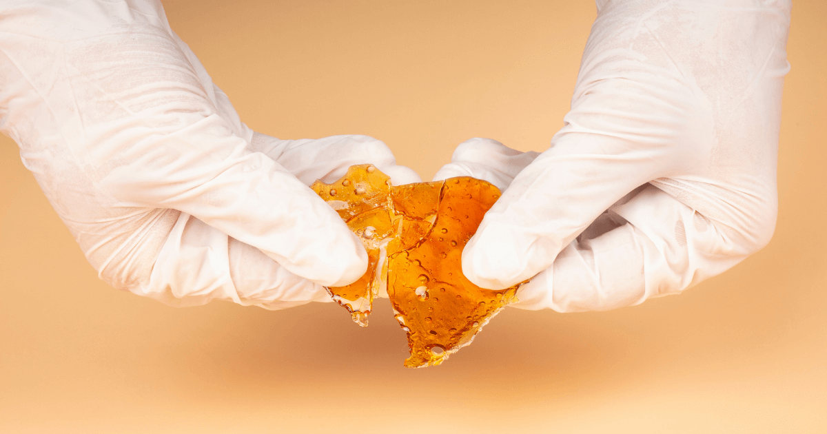 Step-By-Step Guide on How to Make Weed Shatter