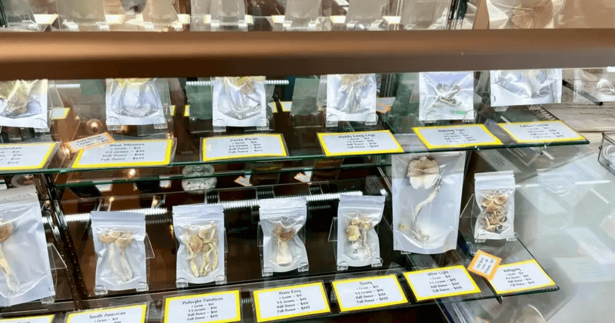 A Guide to Buying Shrooms Online in BC