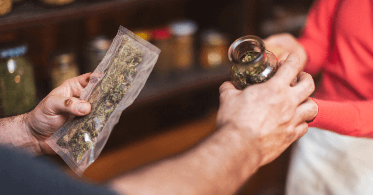 What Are The Different Types Of Weed?