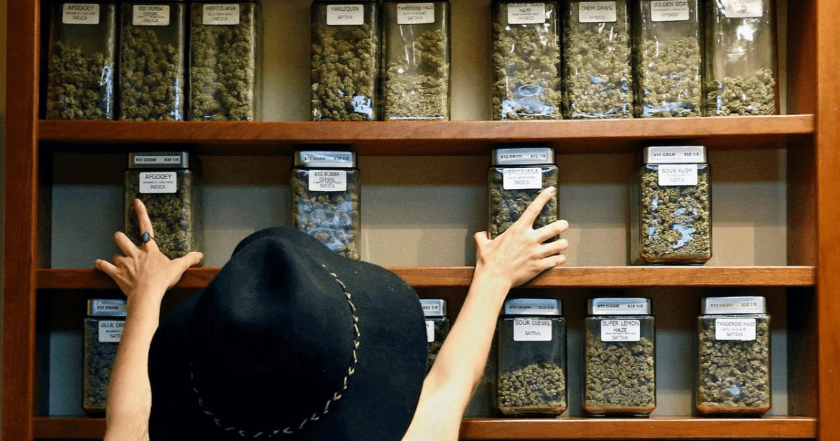 What are the Different Grades Of Cannabis You Can Find at a Dispensary?